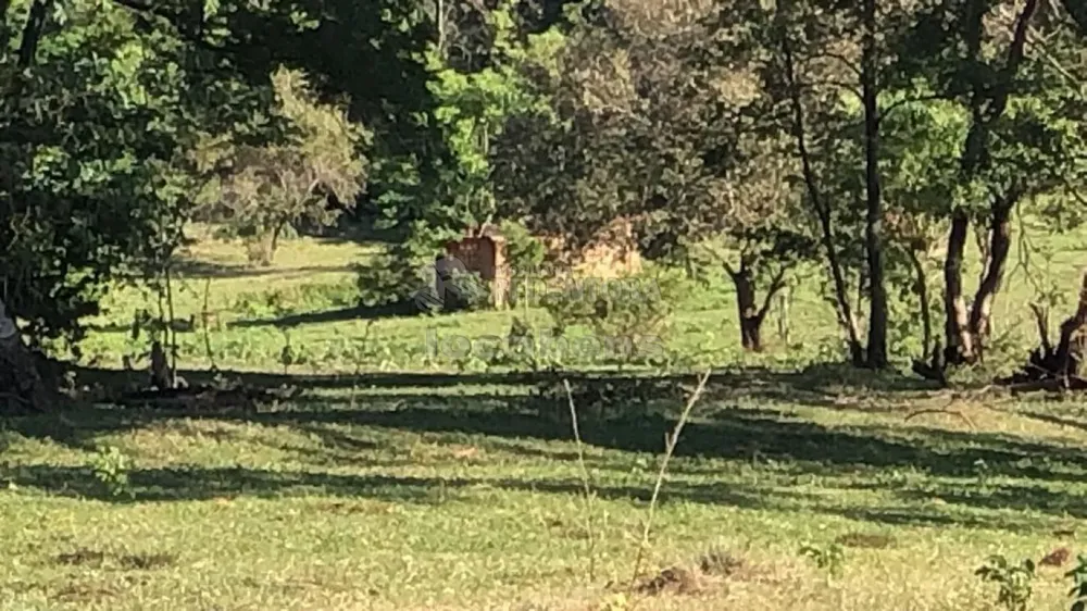 Fazenda, 56 hectares - Foto 2