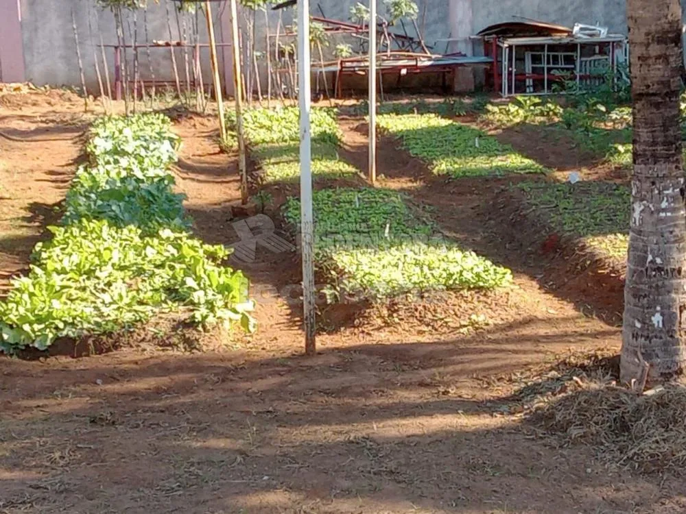 Chácara, 1 quarto, 10000 m² - Foto 5