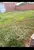 Terreno, 157 m² - Foto 2