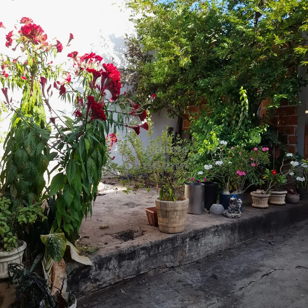 Casa, 3 quartos, 140 m² - Foto 3