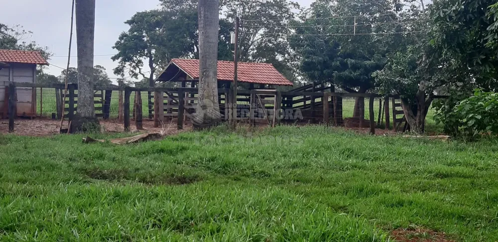 Fazenda, 97 hectares - Foto 3