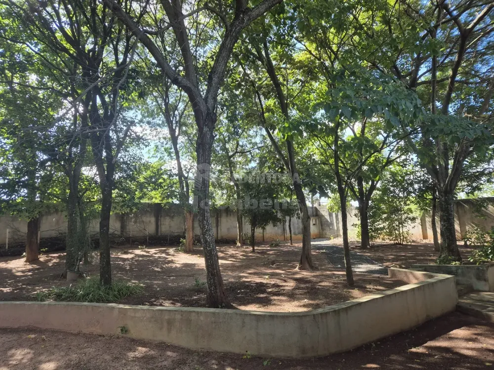 Chácara, 5000 m² - Foto 6