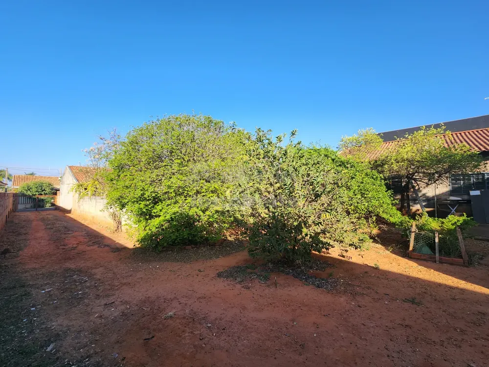Sítio, 1 quarto, 511 m² - Foto 6