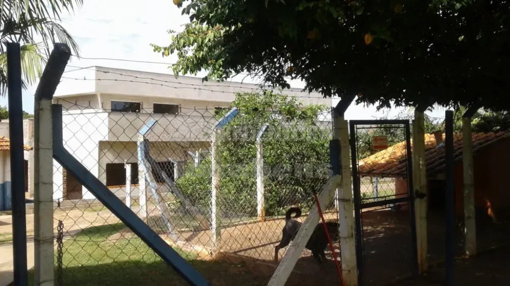 Fazenda, 57 hectares - Foto 7