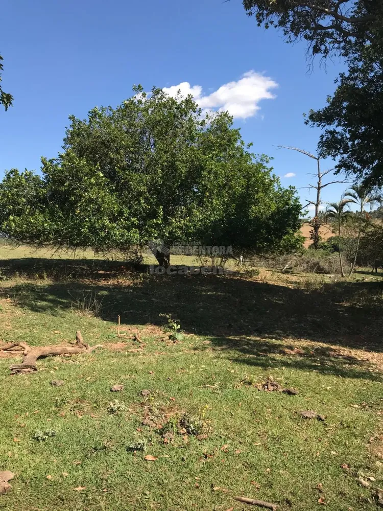 Fazenda, 19 hectares - Foto 6