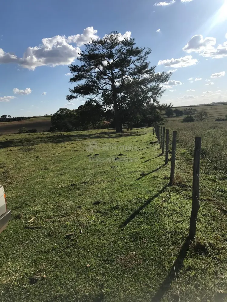 Fazenda, 19 hectares - Foto 2