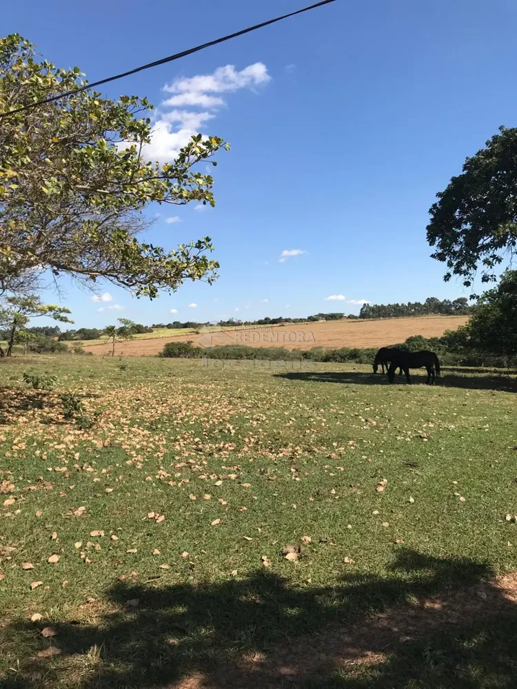 Fazenda, 19 hectares - Foto 3