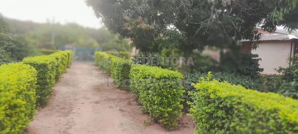 Fazenda à venda com 2 quartos, 2000m² - Foto 4