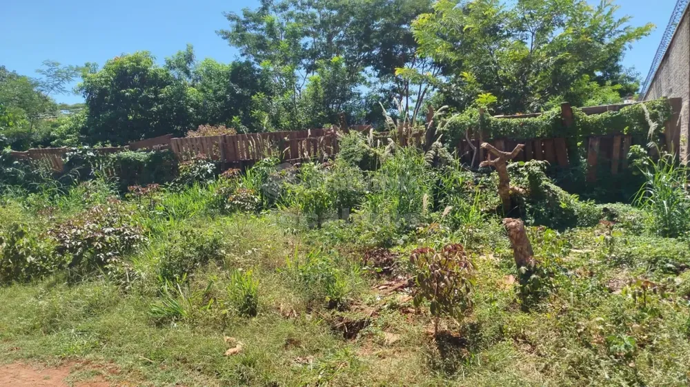 Chácara, 1000 m² - Foto 5