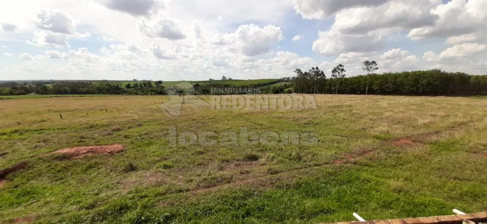 Sítio, 13 hectares - Foto 2