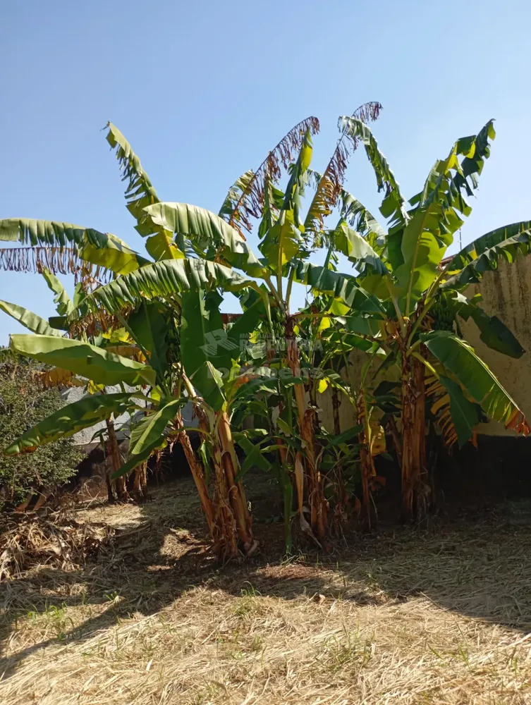 Terreno, 600 m² - Foto 3