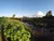 Sítio, 6 hectares - Foto 9