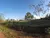 Sítio, 6 hectares - Foto 14