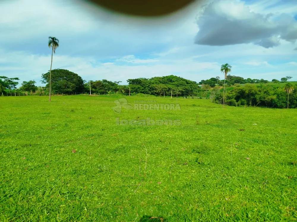 Sítio, 6 hectares - Foto 8
