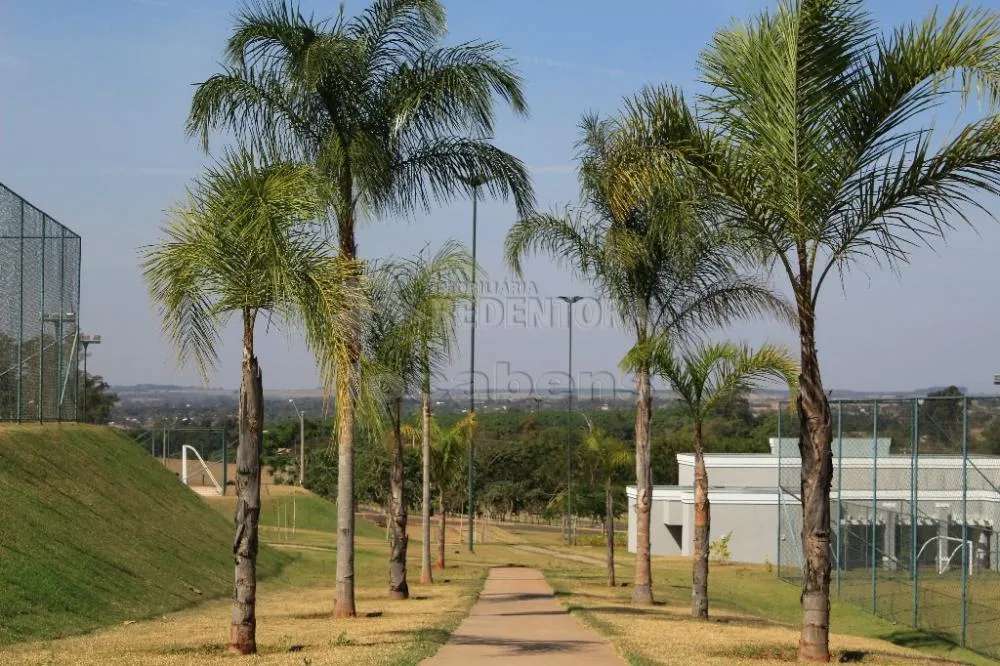 Terreno, 241 m² - Foto 3