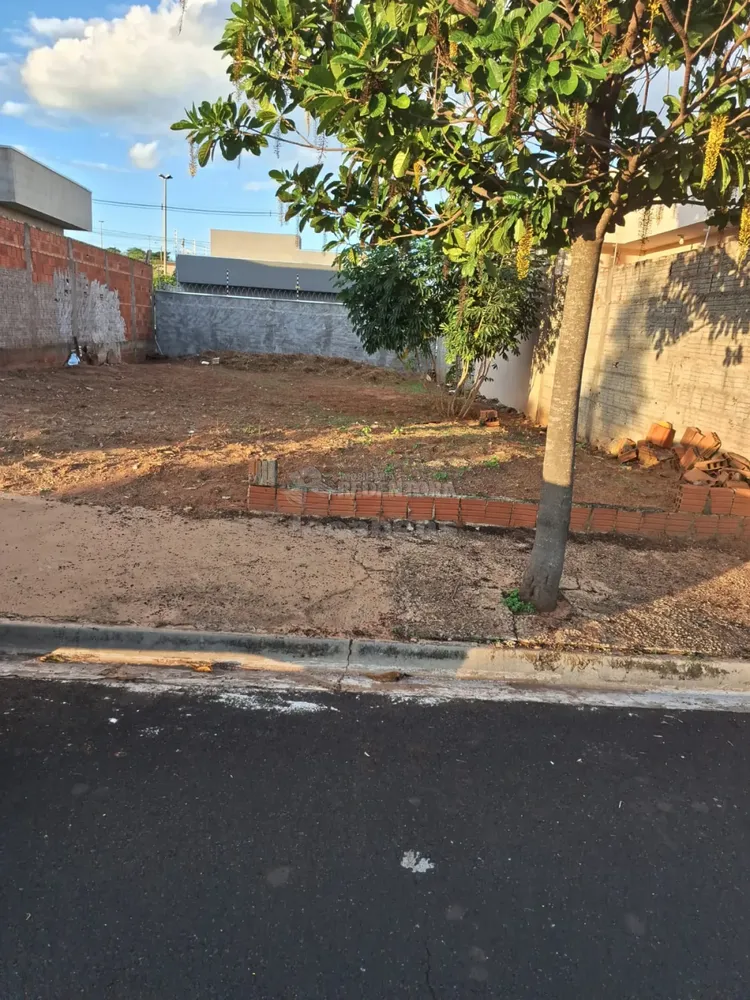 Terreno, 200 m² - Foto 2
