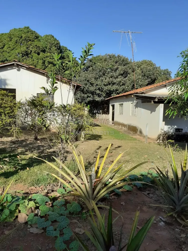 Sítio, 3 hectares - Foto 1