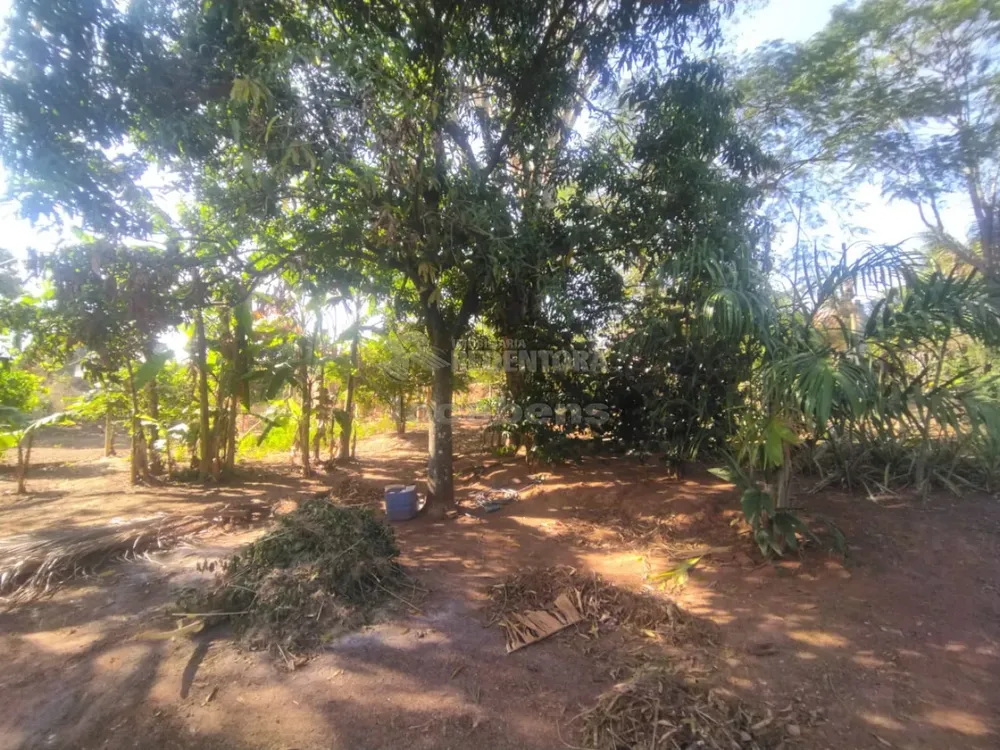 Chácara, 2 quartos, 1000 m² - Foto 2