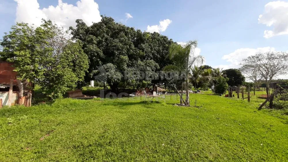 Sítio, 13 hectares - Foto 4