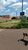 Terreno, 212 m² - Foto 3