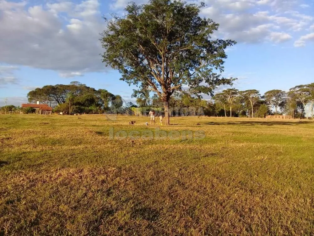 Fazenda, 2 hectares - Foto 2