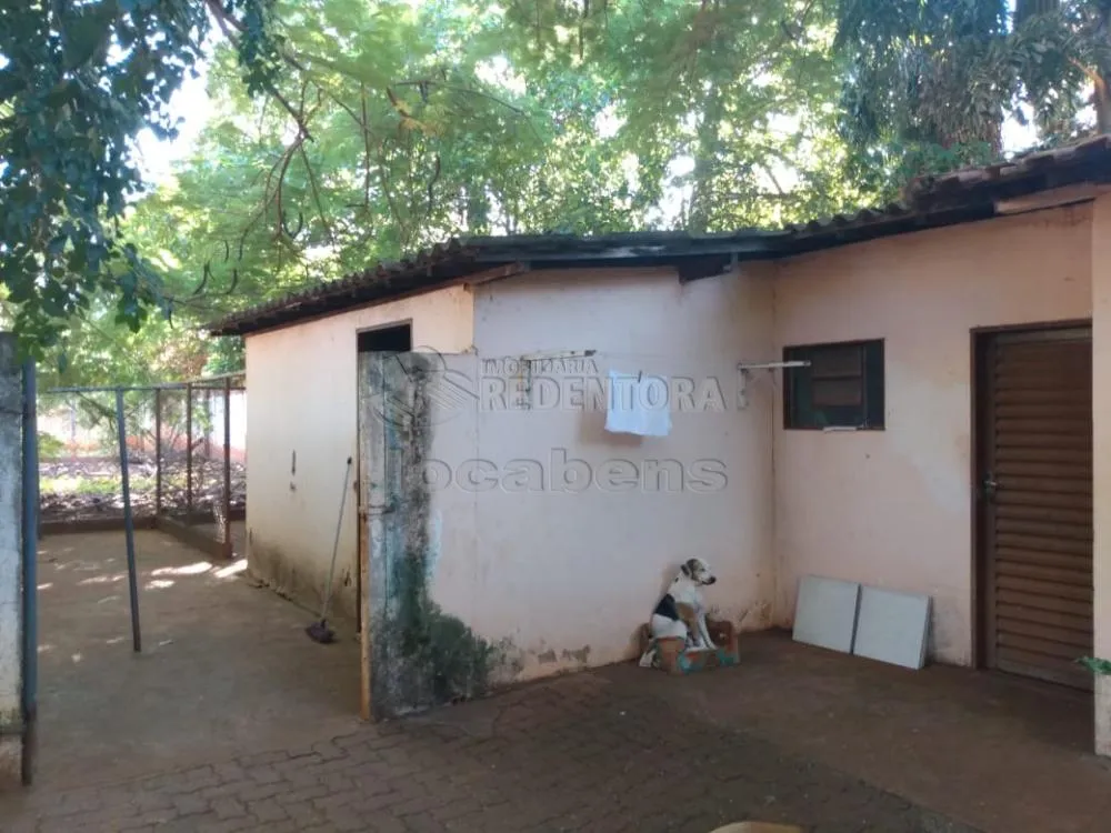 Chácara, 2 quartos, 4315 m² - Foto 7