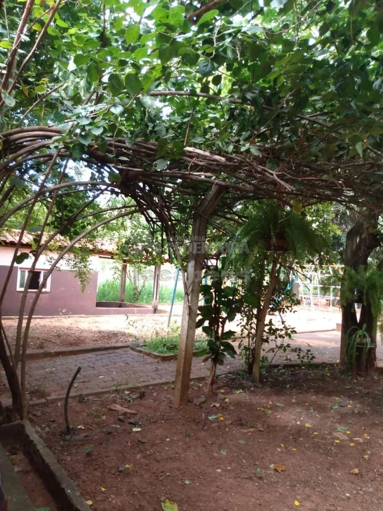 Chácara, 2 quartos, 4315 m² - Foto 5