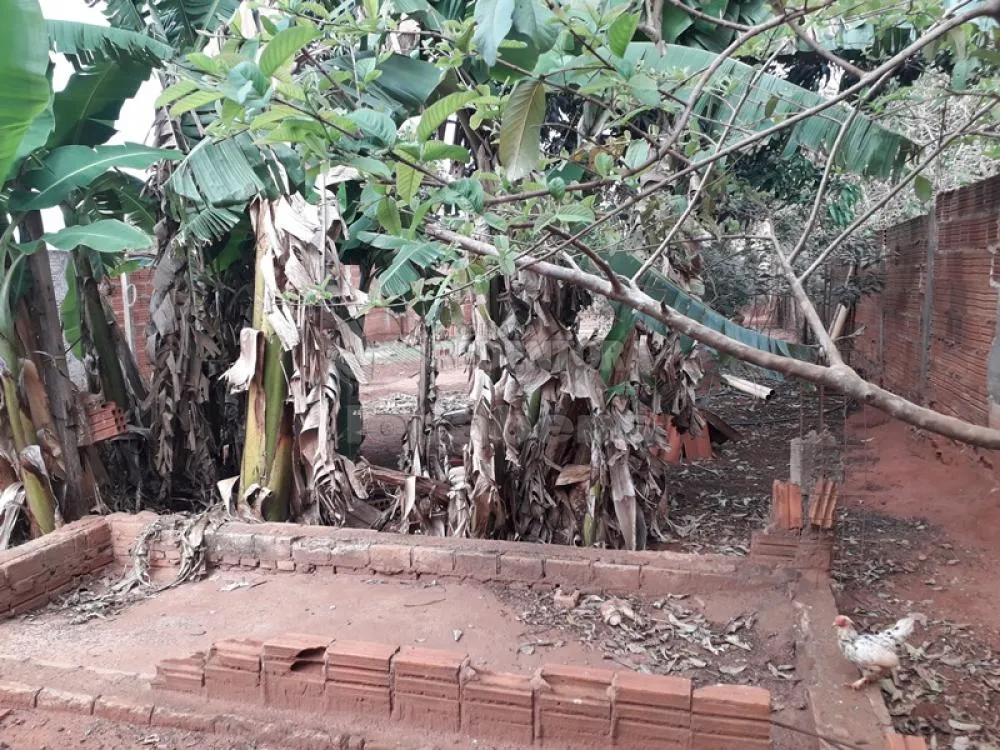 Chácara, 2 quartos, 500 m² - Foto 7