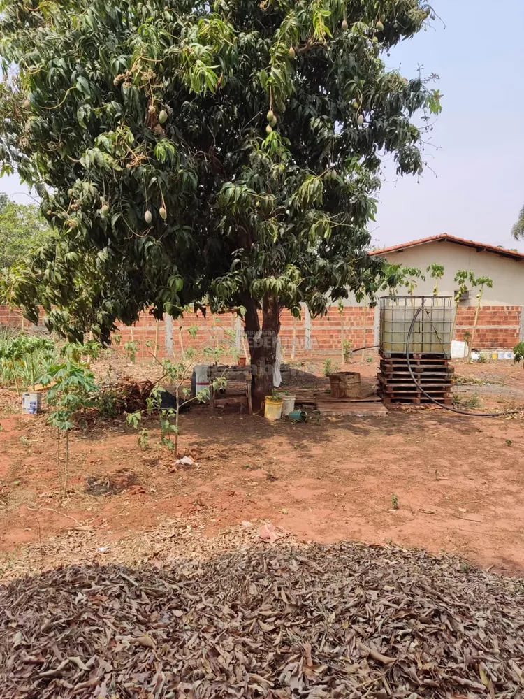 Fazenda à venda, 1000m² - Foto 1