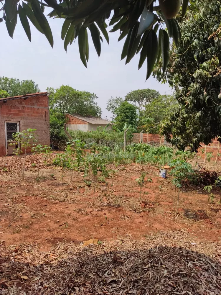 Fazenda à venda, 1000m² - Foto 3