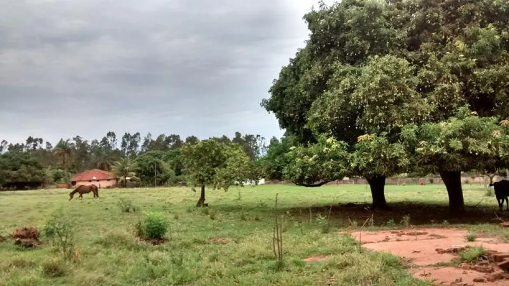 Chácara, 3 quartos, 6000 m² - Foto 1