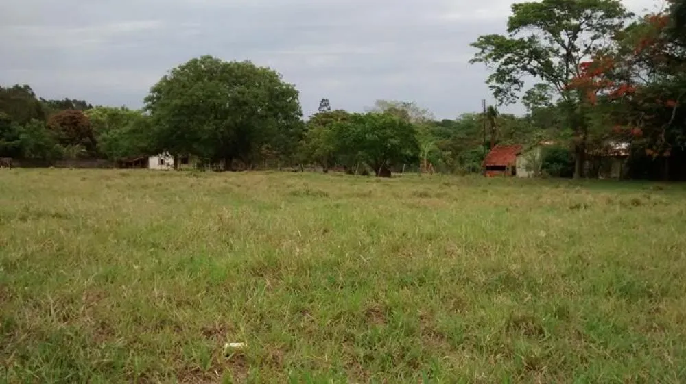 Chácara, 3 quartos, 6000 m² - Foto 3