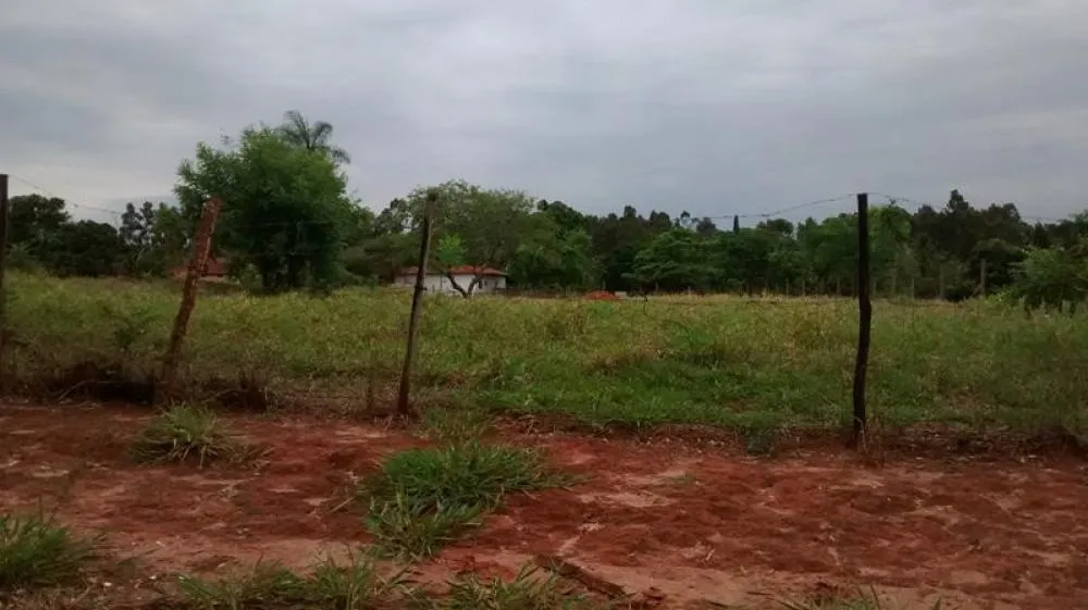 Chácara, 3 quartos, 6000 m² - Foto 6