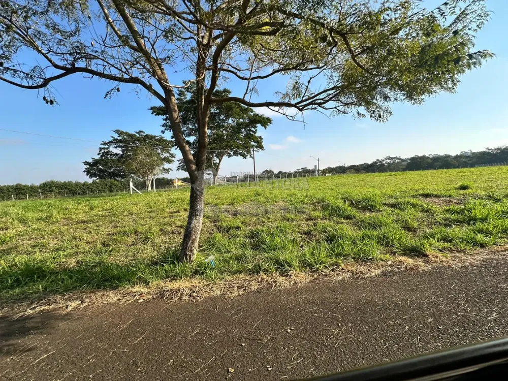 Terreno, 5010 m² - Foto 4