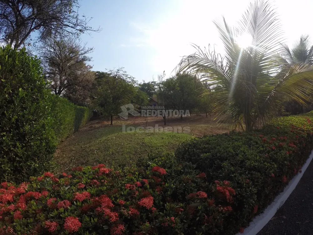 Chácara, 3 quartos, 6500 m² - Foto 3