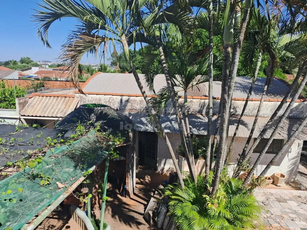 Chácara, 3 quartos, 1080 m² - Foto 7