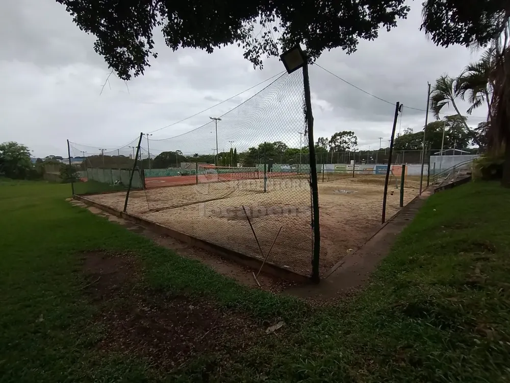 Chácara, 7 quartos, 6000 m² - Foto 6
