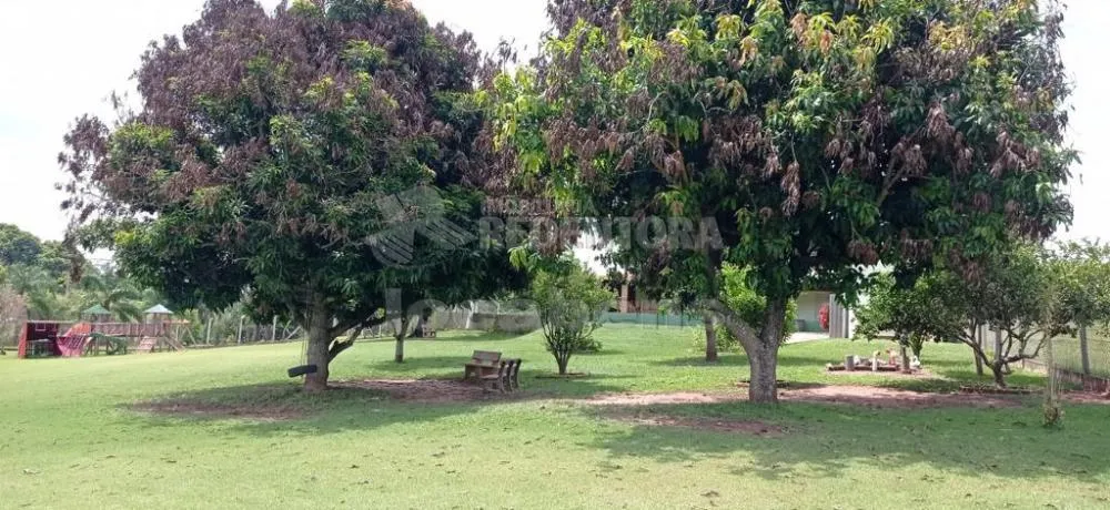 Chácara, 3 quartos, 2 hectares - Foto 4