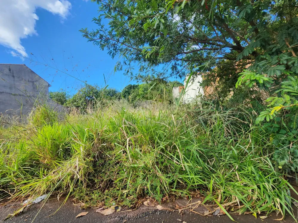 Terreno, 220 m² - Foto 2