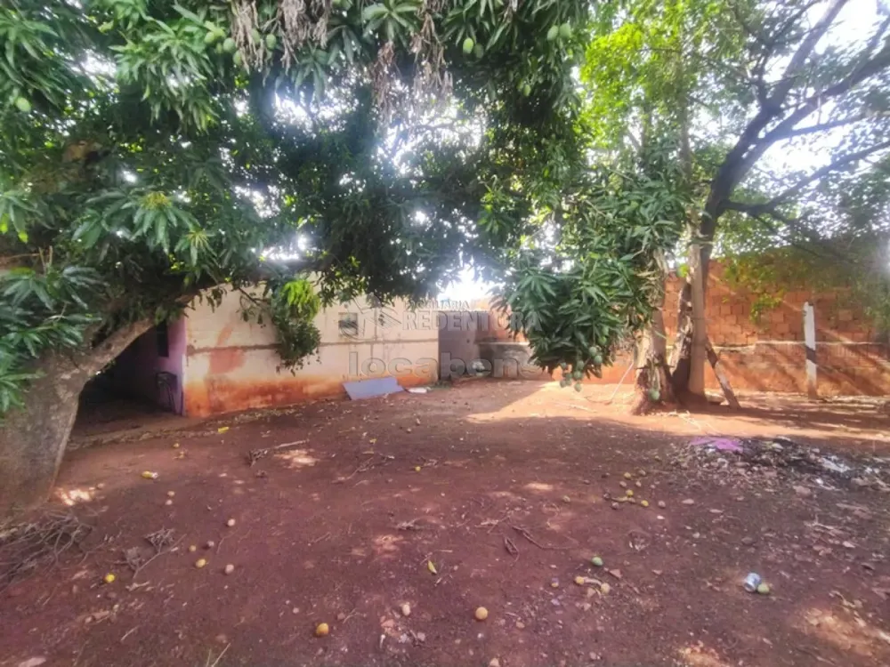 Casa, 5 quartos, 207 m² - Foto 4