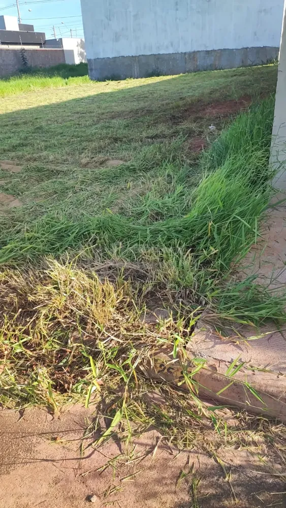 Terreno, 200 m² - Foto 1