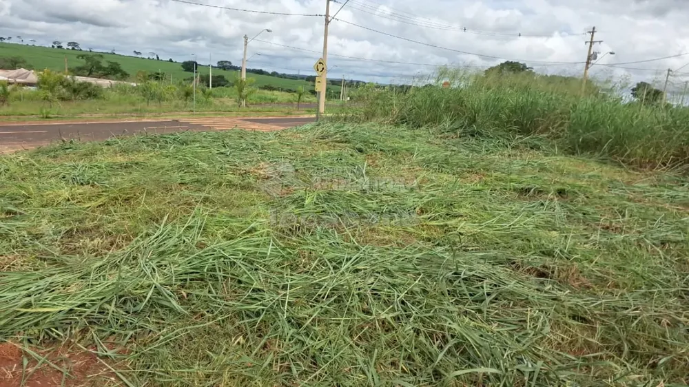 Terreno, 220 m² - Foto 5