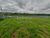 Terreno, 240 m² - Foto 4