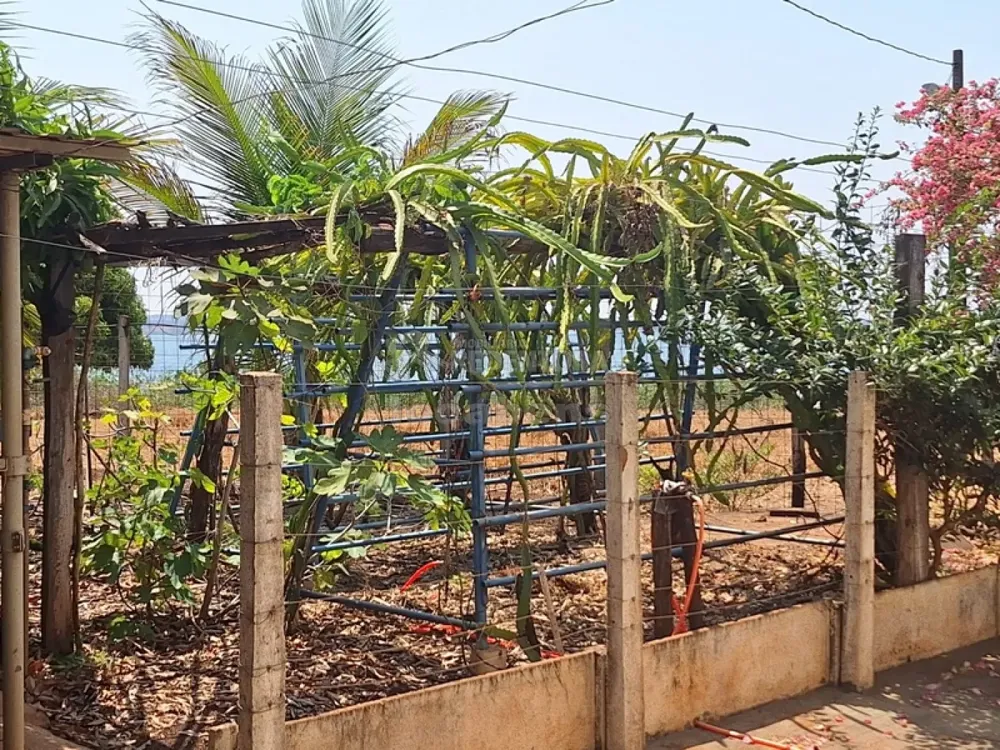 Fazenda, 24 hectares - Foto 8