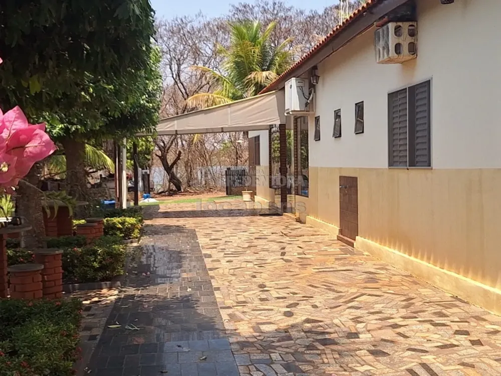 Fazenda, 24 hectares - Foto 7