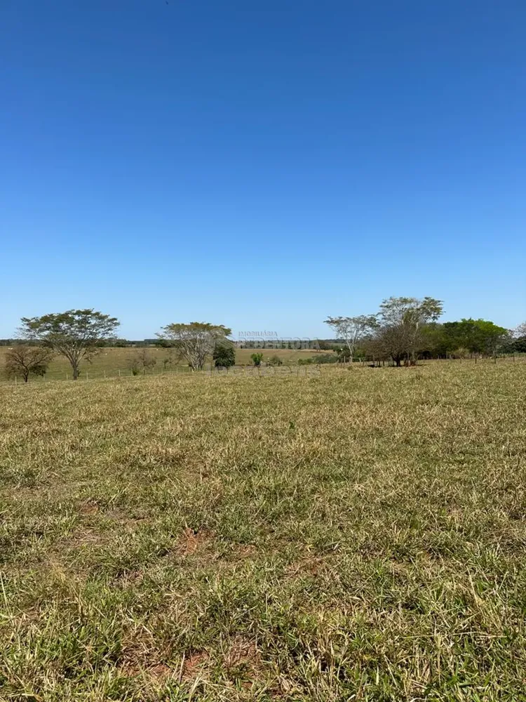 Sítio, 6 hectares - Foto 4