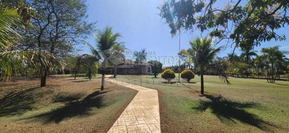 Chácara, 8 quartos, 10000 m² - Foto 3