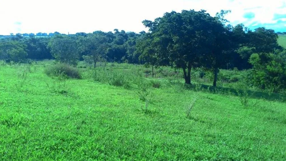 Loteamento e Condomínio, 2 hectares - Foto 2