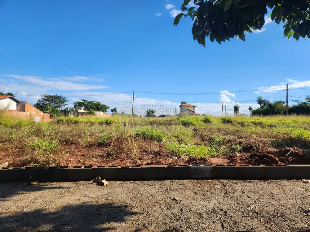 Terreno, 250 m² - Foto 1