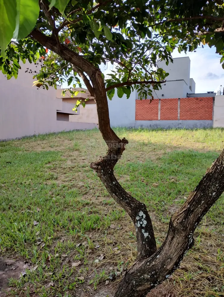 Terreno, 231 m² - Foto 7